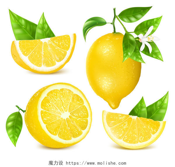 不同的矢量图的新鲜的柠檬
